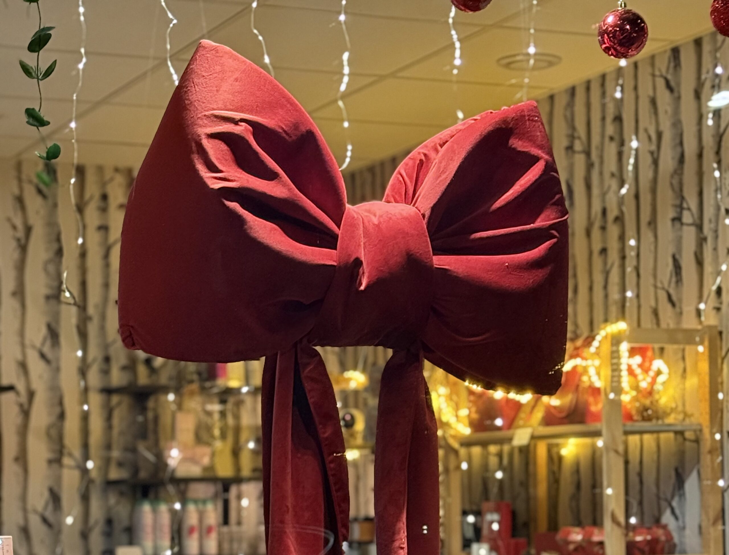 Les inédits de Noël 💫